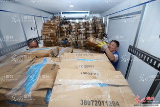 江苏南通农副产品物流中心4万吨冷库仓储为市区农产品保供稳价
