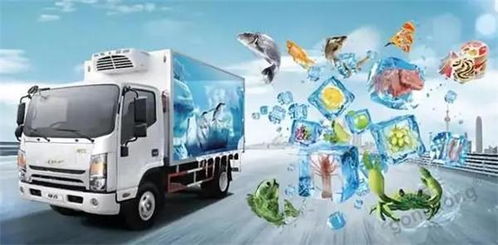 技术赋能冷链物流 优化绩效与应对市场趋势