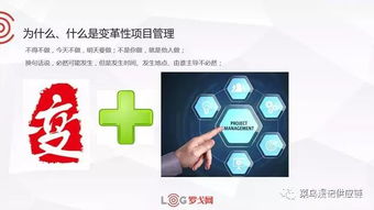 作者专栏 物流产品网